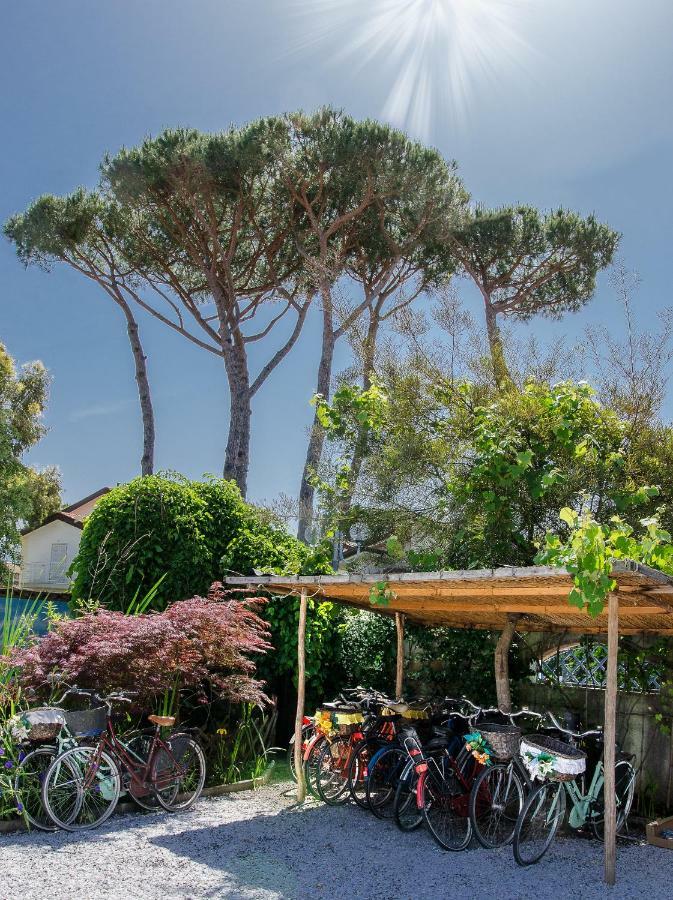 B&B Due Passi Dal Mare Cinquale Ngoại thất bức ảnh