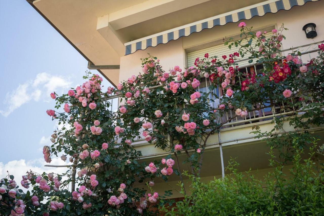 B&B Due Passi Dal Mare Cinquale Ngoại thất bức ảnh